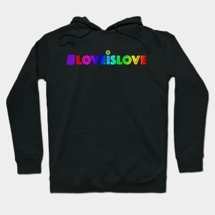 LOVE IS LOVE #LOVEISLOVE LGBTQIA Hoodie